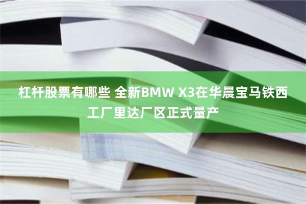 杠杆股票有哪些 全新BMW X3在华晨宝马铁西工厂里达厂区正式量产