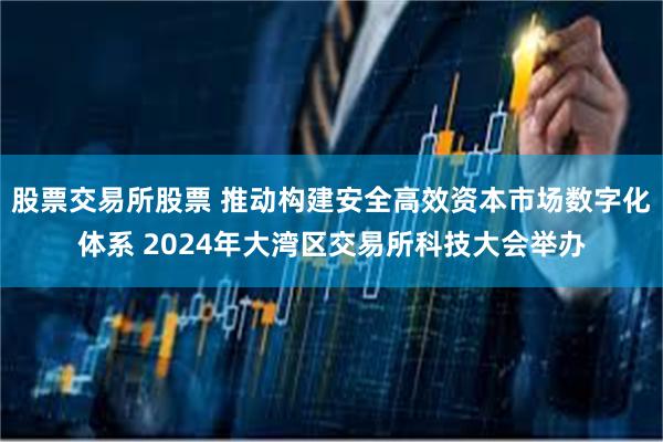 股票交易所股票 推动构建安全高效资本市场数字化体系 2024年大湾区交易所科技大会举办