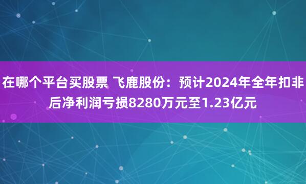 在哪个平台买股票 飞鹿股份：预计2024年全年扣非后净利润亏损8280万元至1.23亿元