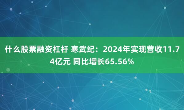 什么股票融资杠杆 寒武纪：2024年实现营收11.74亿元 同比增长65.56%