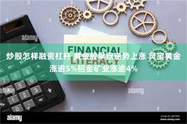 炒股怎样融资杠杆 黄金股早盘逆势上涨 灵宝黄金涨逾5%招金矿业涨逾4%